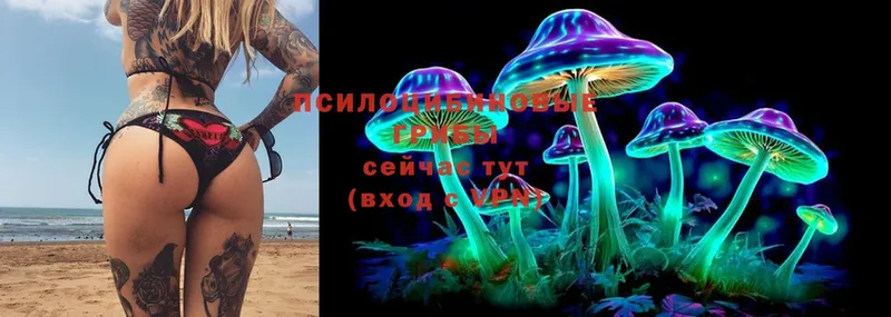 Галлюциногенные грибы MAGIC MUSHROOMS  где купить наркотик  МЕГА онион  Конаково 